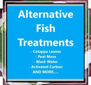 Alternative Fish Treatments