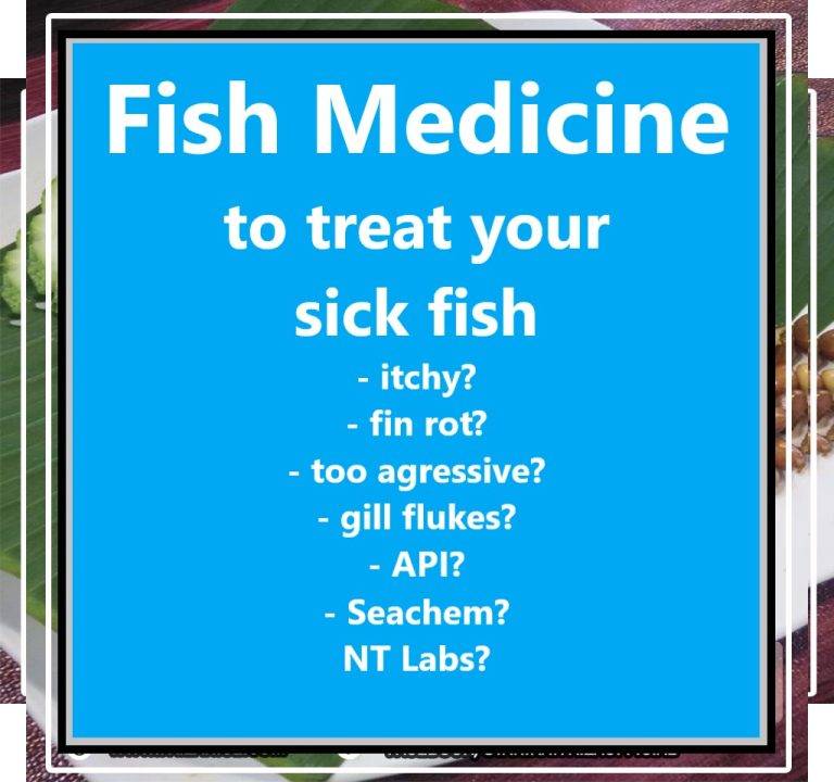 Fish Medicine on Aquarium
