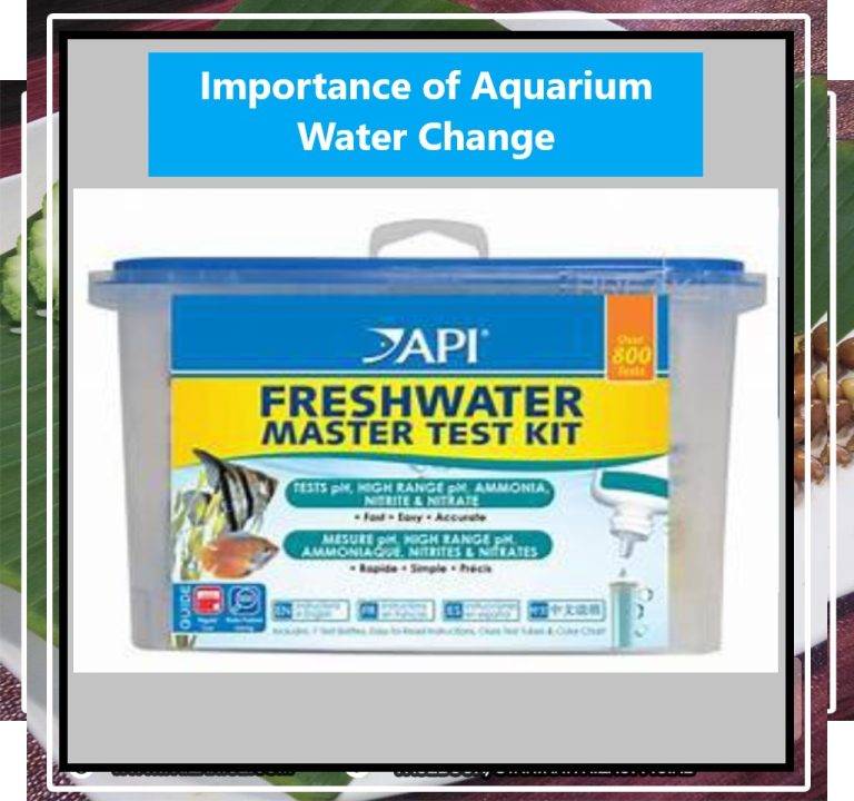 Importance of Aquarium Water Change using API Master Test Kit