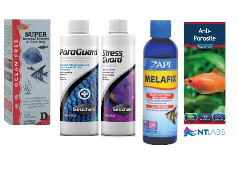 Best Fish Medicine Seachem, API, NT Labs, Ocean Free